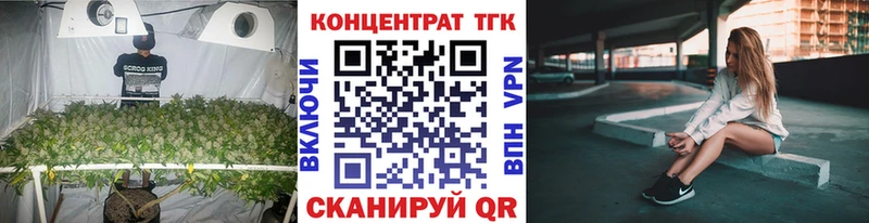 Купить где  Чекалин  ТГК THC oil 